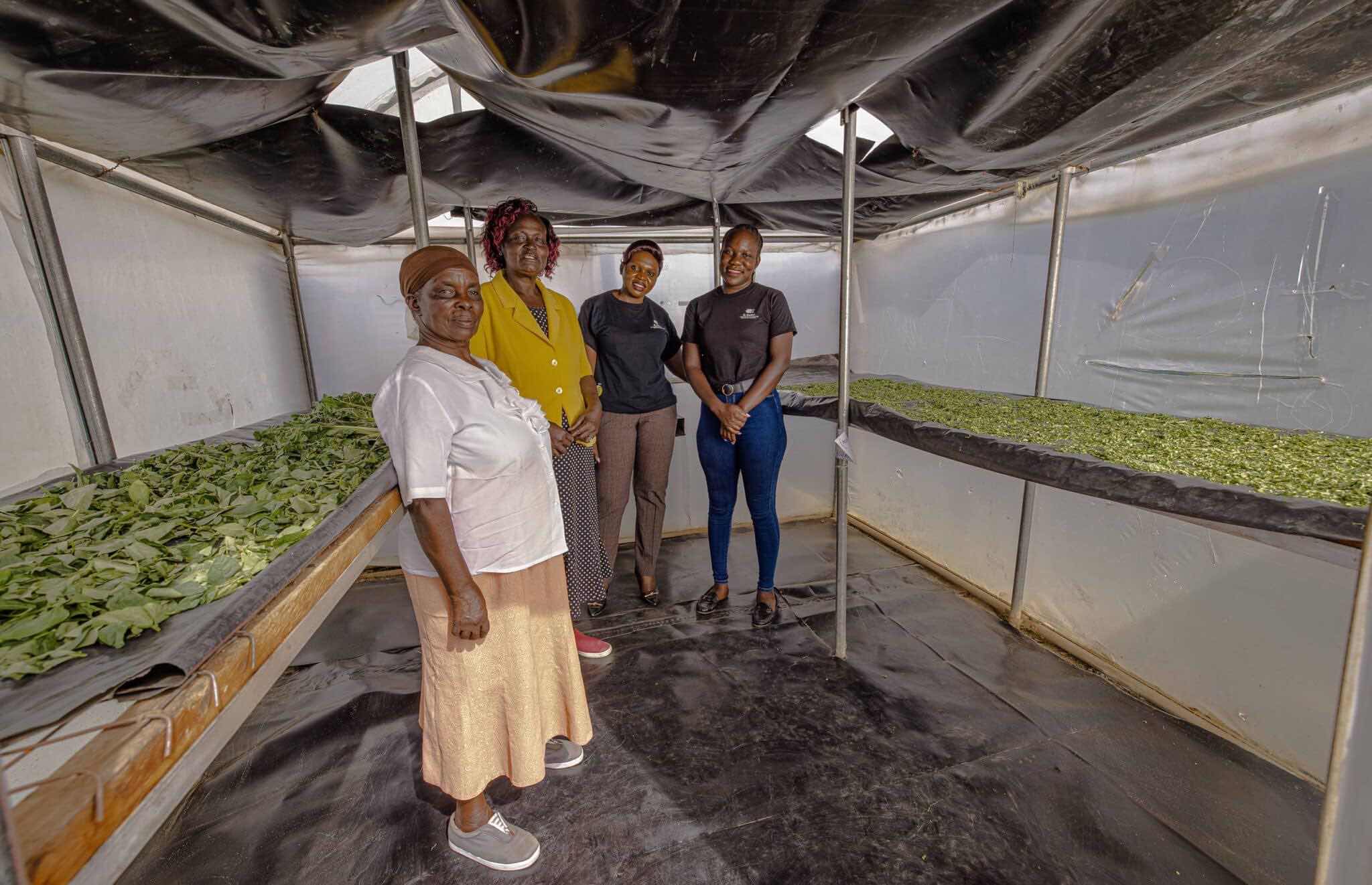 Earthshot Prize Exhibition 7